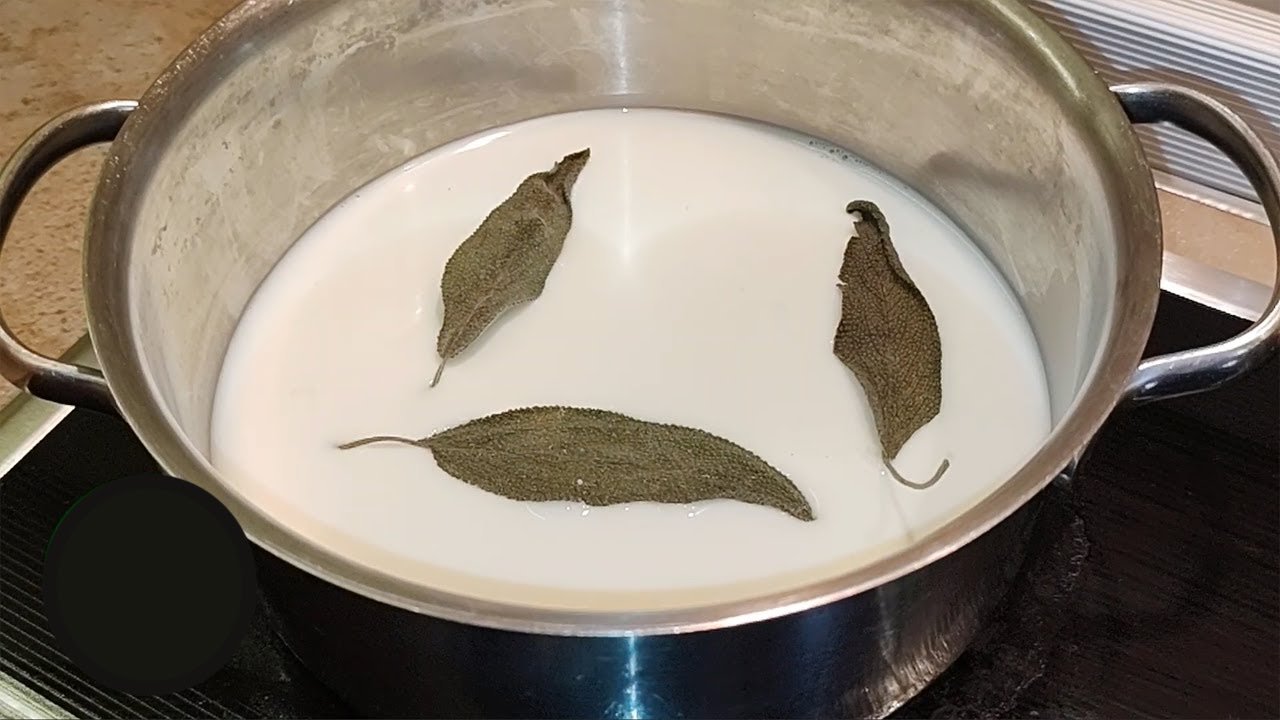 Bay Leaf, Milk, and Honey Remedy for Coughs and Congestion A Must