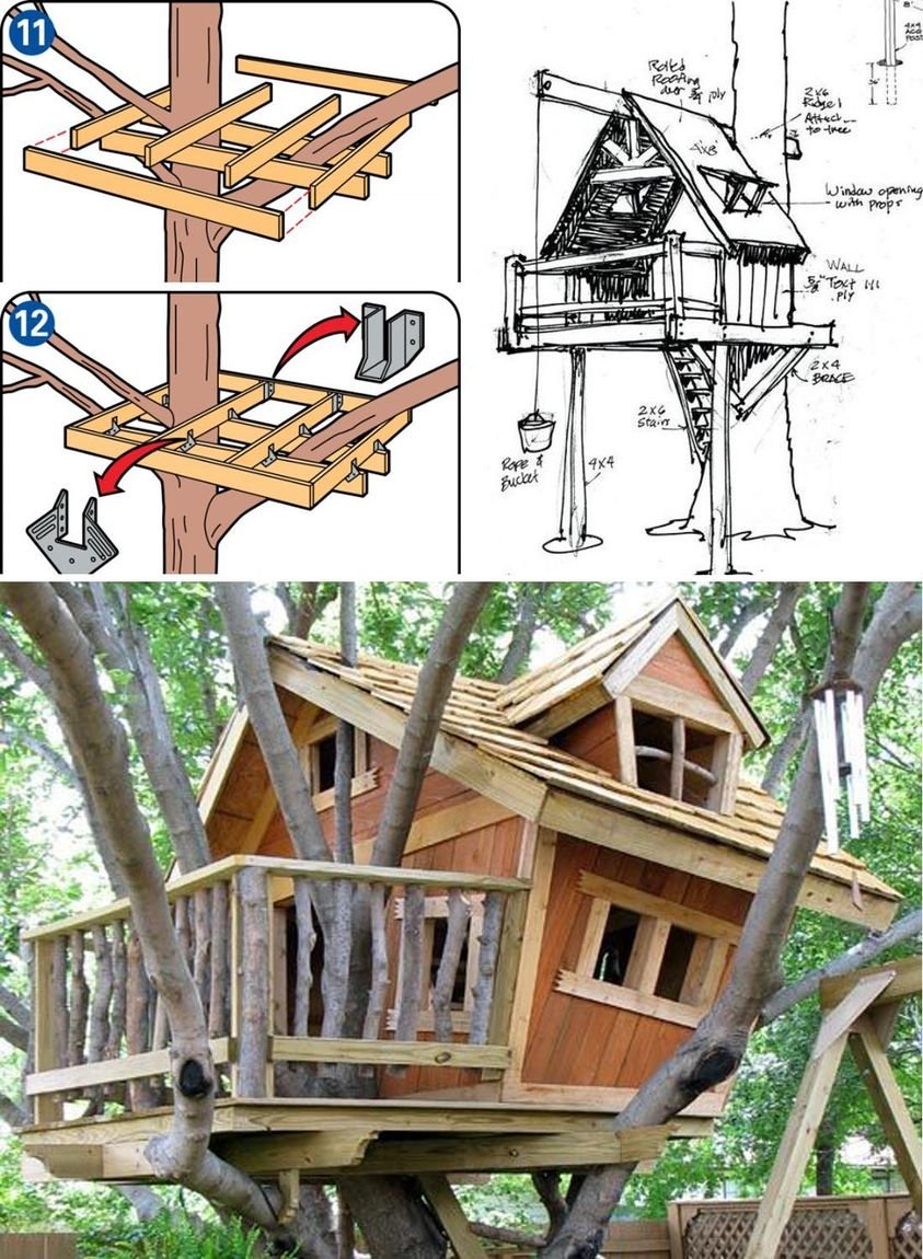 How to Plan a Safe Treehouse That Won’t Harm the Tree Healthylifestyle